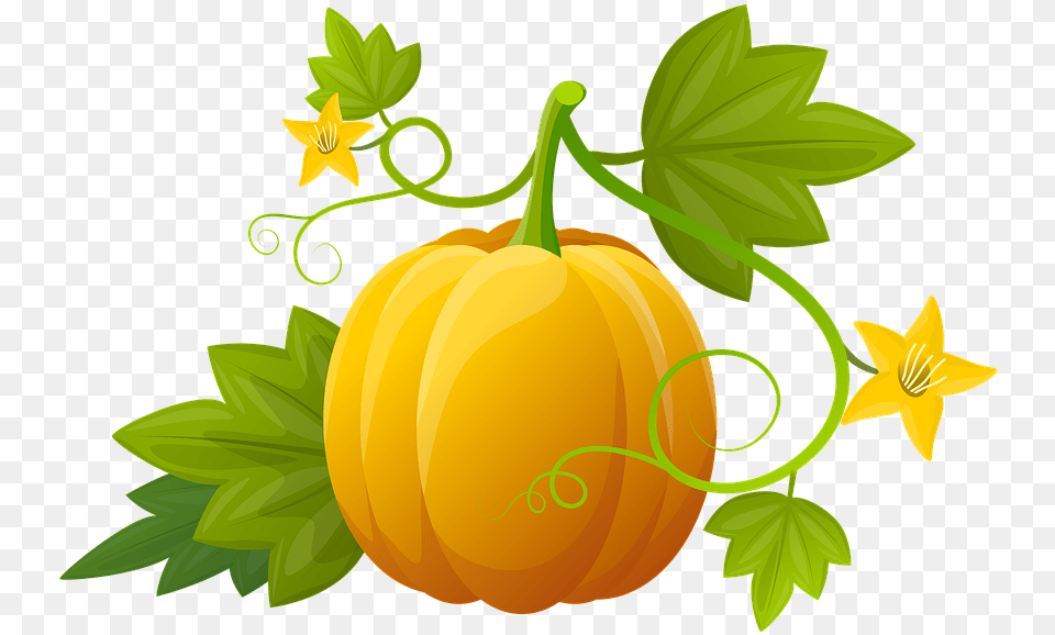 Pumpkin Illustration Plants Vegetable Leaves Hoja De Calabaza, Food, Plant, Produce, Fruit Png Image