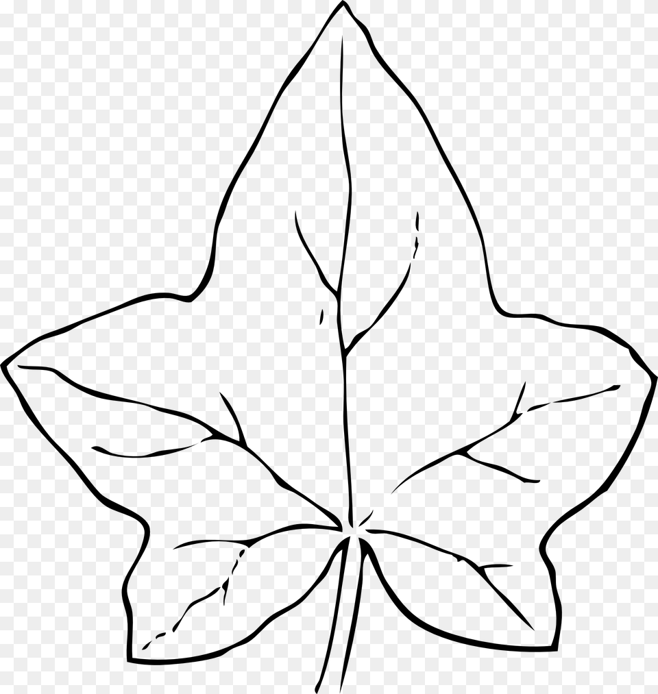 Pumpkin Leaf Clipart Outline Free Png Download