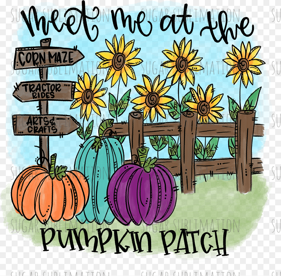 Pumpkin Patch Png Image