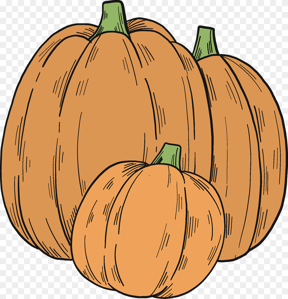 Pumpkin Patch Clipart, Food, Plant, Produce, Vegetable Free Png Download