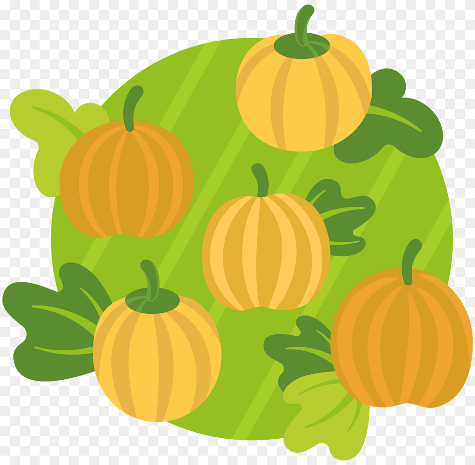 Pumpkin Patch Clipart, Food, Plant, Produce, Vegetable Free Transparent Png