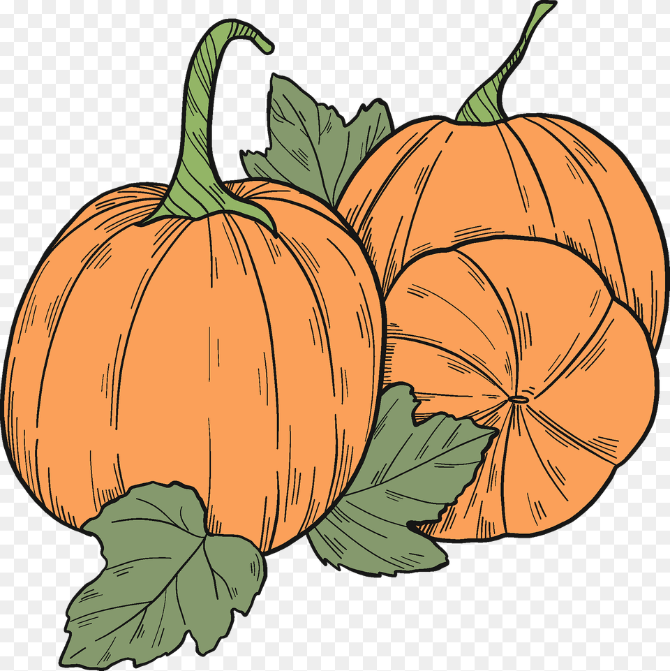 Pumpkin Patch Clipart, Food, Plant, Produce, Vegetable Free Png