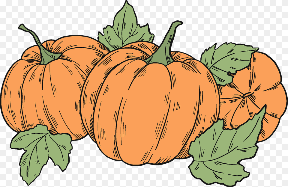 Pumpkin Patch Clipart, Food, Plant, Produce, Vegetable Png Image