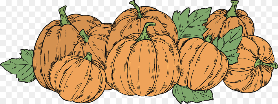 Pumpkin Patch Clipart, Food, Fruit, Plant, Produce Png