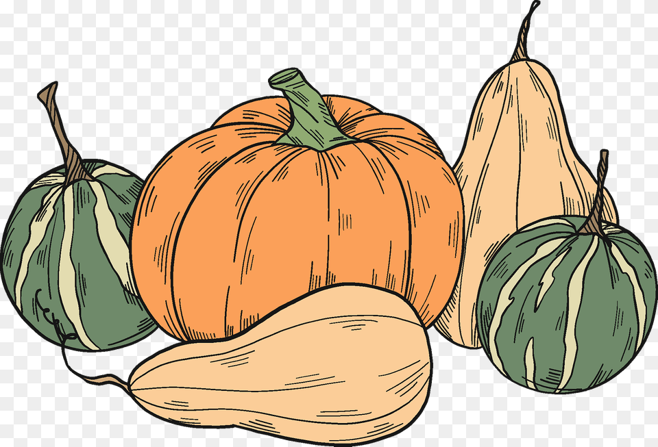 Pumpkin Patch Clipart, Food, Produce, Gourd, Plant Free Transparent Png