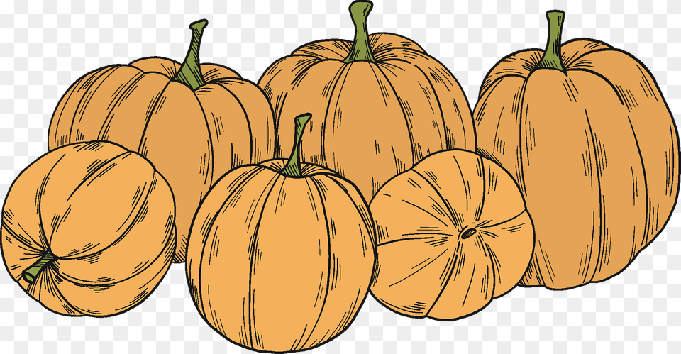 Pumpkin Patch Clipart, Food, Fruit, Plant, Produce Free Png