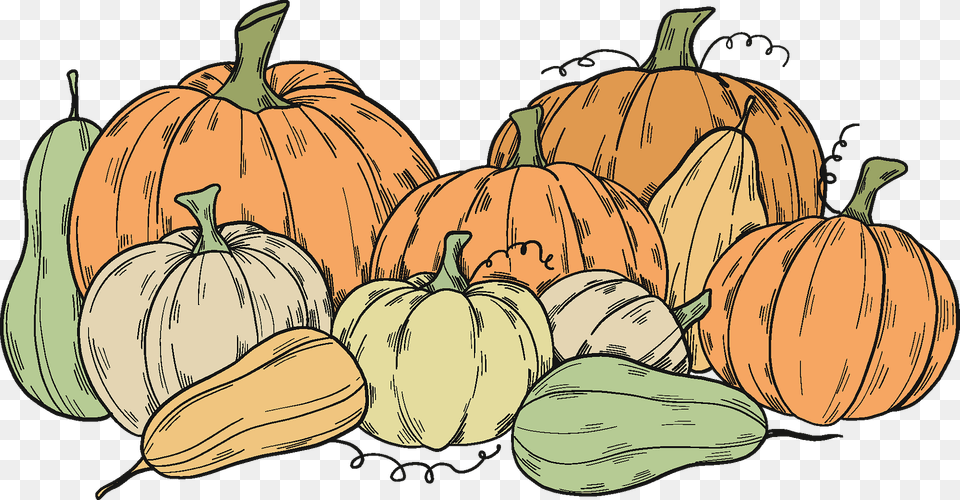 Pumpkin Patch Clipart, Food, Plant, Produce, Vegetable Free Png