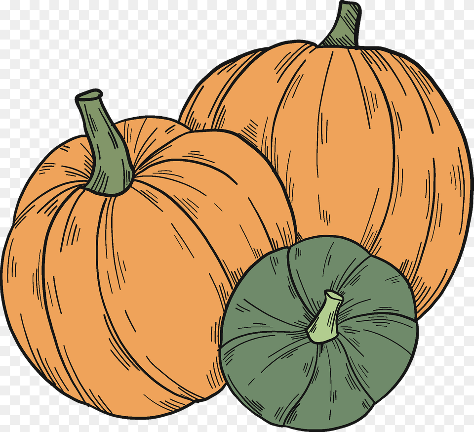 Pumpkin Patch Clipart, Food, Plant, Produce, Vegetable Png