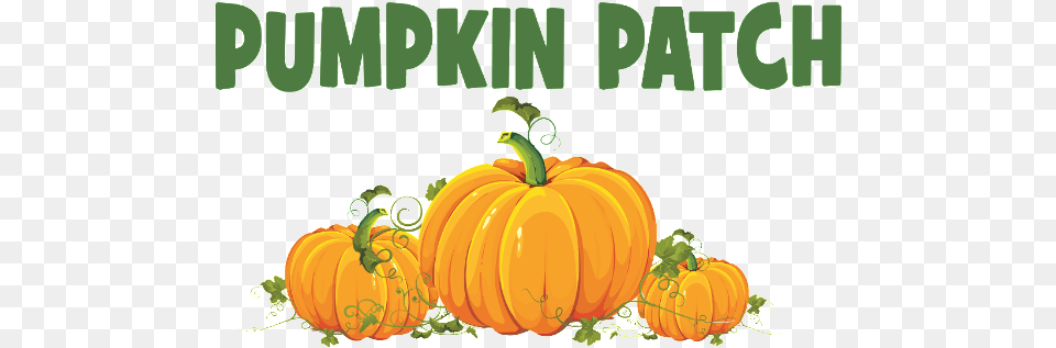 Pumpkin Patch N 01d Medias Pp 101n Medias Ch, Food, Plant, Produce, Vegetable Free Png