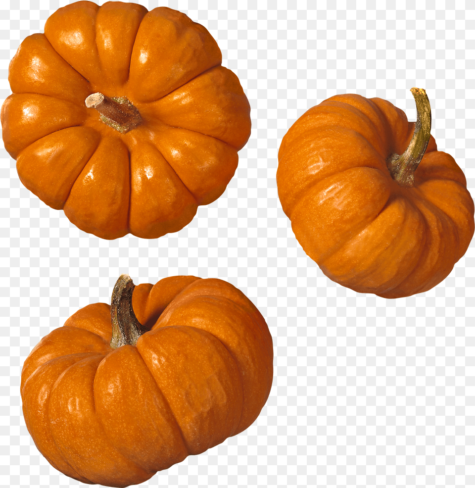 Pumpkin Picture Pumpkin Free Transparent Png