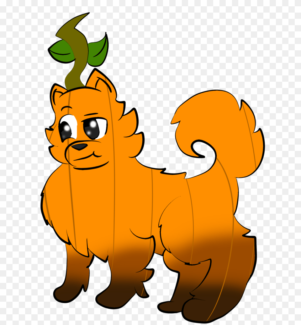 Pumpkin Pomeranian, Baby, Person, Face, Head Png