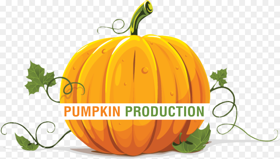 Pumpkin Production Freeuse Halloween Pumpkin, Food, Plant, Produce, Vegetable Free Png Download