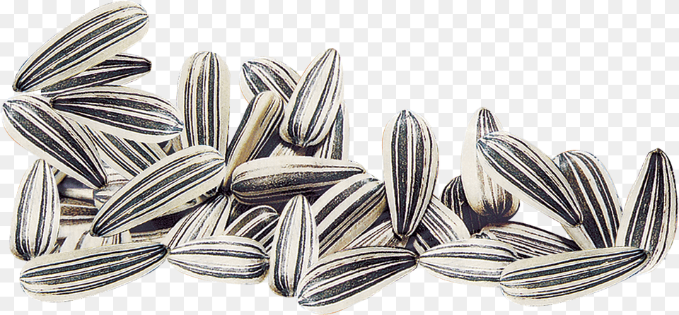 Pumpkin Seed Clipart Black And White Sunflower White Seeds, Food, Grain, Produce Free Png Download