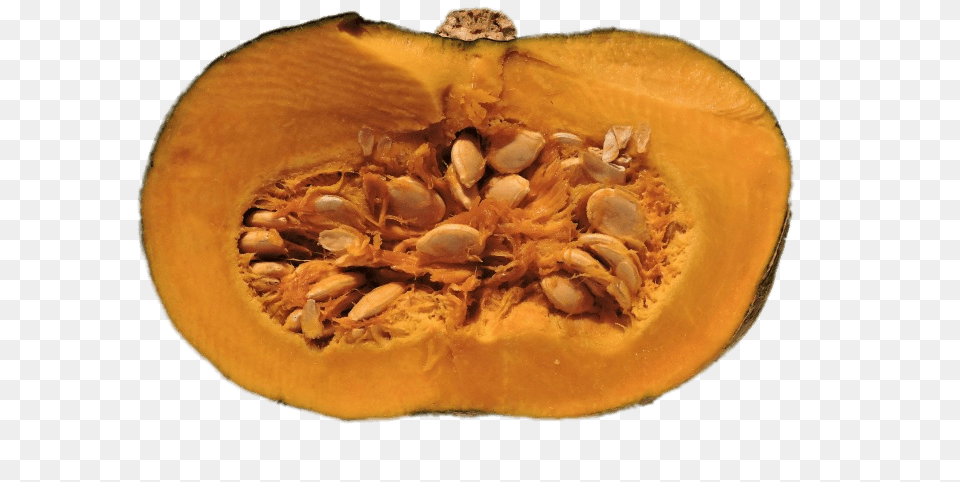 Pumpkin Seeds, Food, Plant, Produce, Squash Free Transparent Png