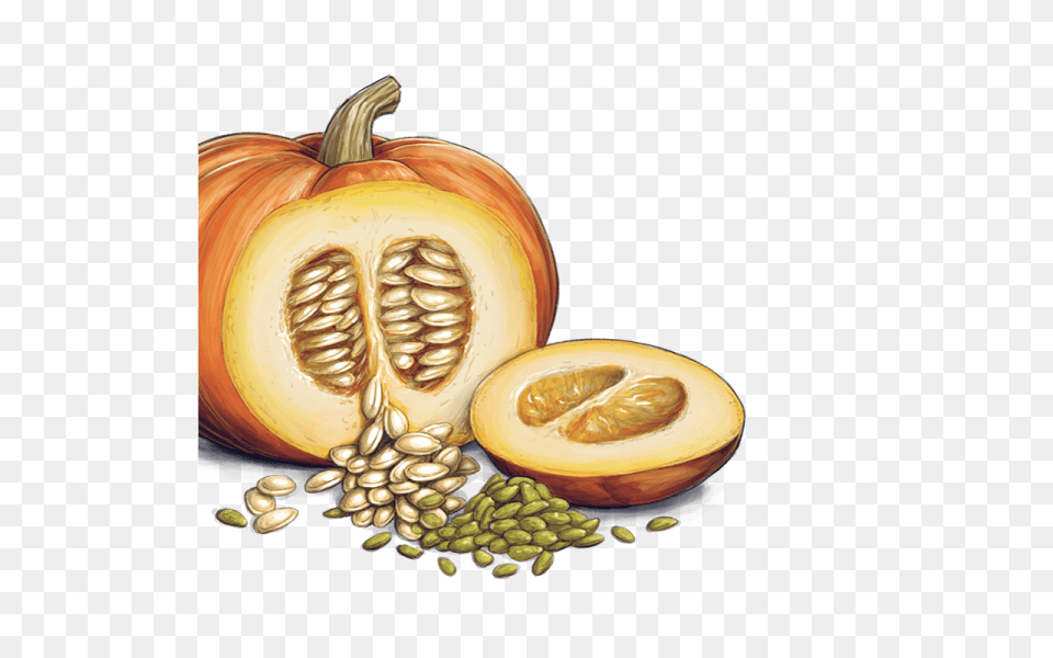 Pumpkin Seeds, Food, Plant, Produce, Vegetable Png