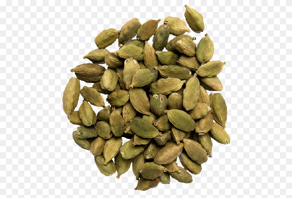 Pumpkin Seeds, Plant, Food, Spice, Cardamom Free Transparent Png