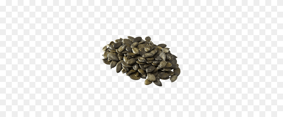 Pumpkin Seeds Free Png