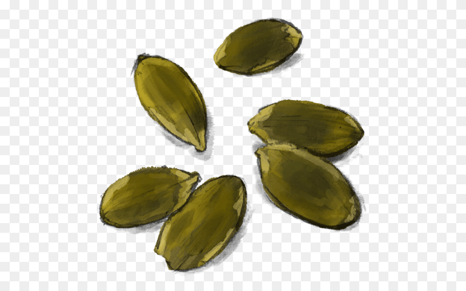 Pumpkin Seeds, Food, Cardamom, Spice Free Png Download