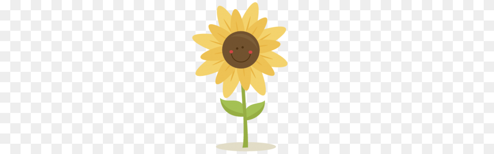 Pumpkin Sunflower Harvest Clipart, Daisy, Flower, Plant, Face Free Transparent Png