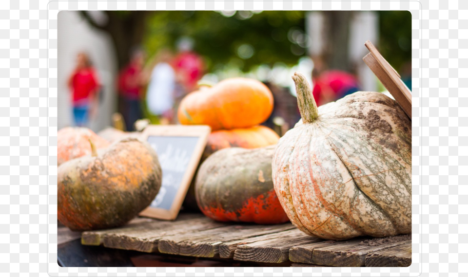 Pumpkins 3 Pumpkin, Food, Plant, Produce, Squash Free Transparent Png