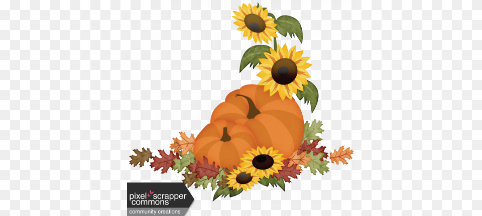 Pumpkins And Sunflowers Clipart Images G Pumpkin And Sunflower Clipart, Art, Produce, Plant, Vegetable Free Transparent Png
