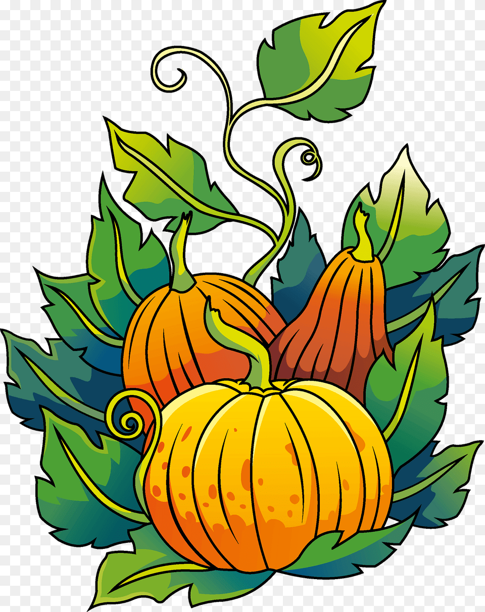 Pumpkins Clipart, Art, Pattern, Floral Design, Graphics Free Png