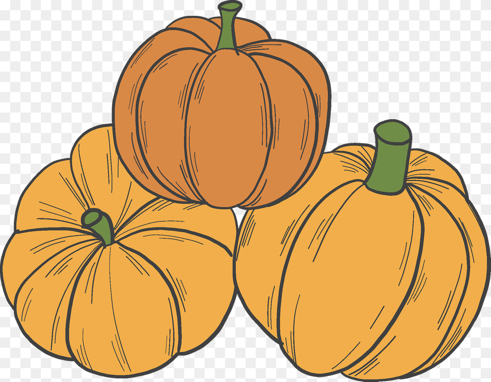 Pumpkins Clipart, Food, Plant, Produce, Pumpkin Png