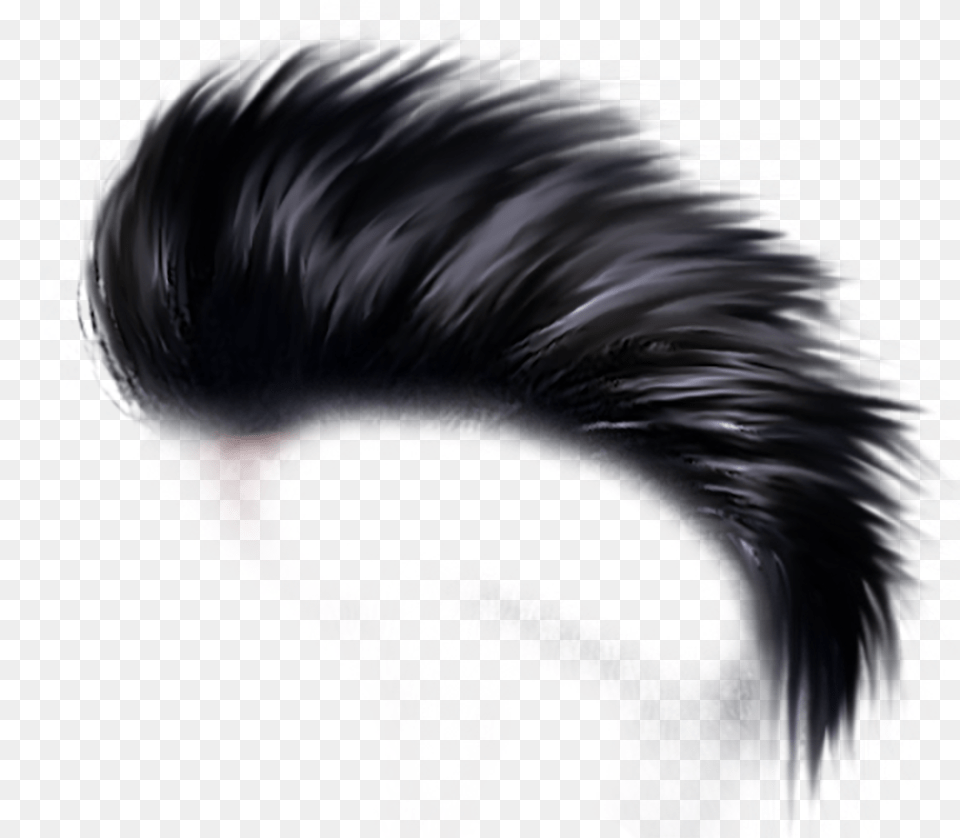 Punk, Adult, Male, Man, Person Free Png Download