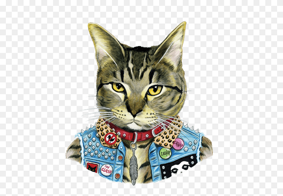 Punk Cat Berkley Cats Illustrations, Accessories, Animal, Mammal, Pet Png Image