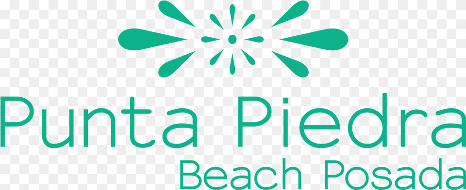 Punta Piedra Beach Posada Graphic Design, Outdoors, Art, Graphics, Floral Design Free Png Download
