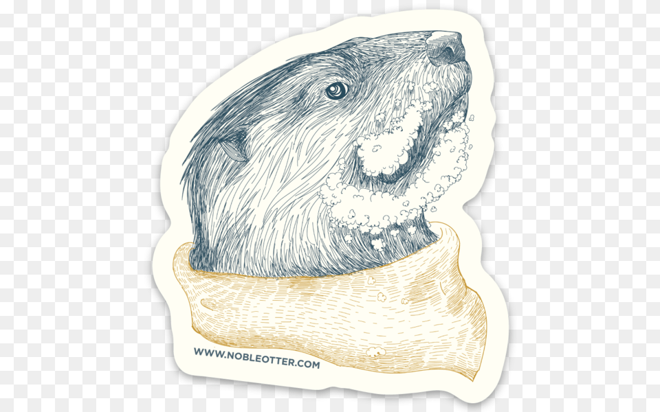 Punxsutawney Phil, Animal, Mammal, Rodent, Wildlife Free Transparent Png