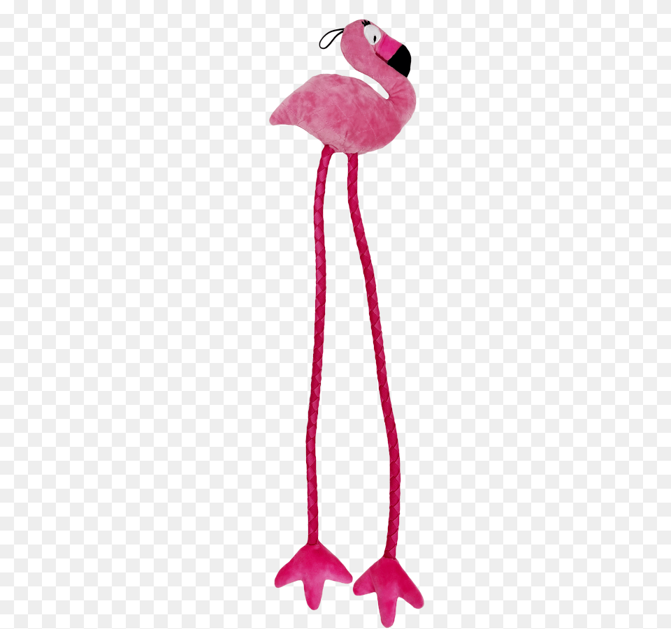 Pupbox Fred The Flamingo Plush Toy Girly, Animal, Bird Free Transparent Png
