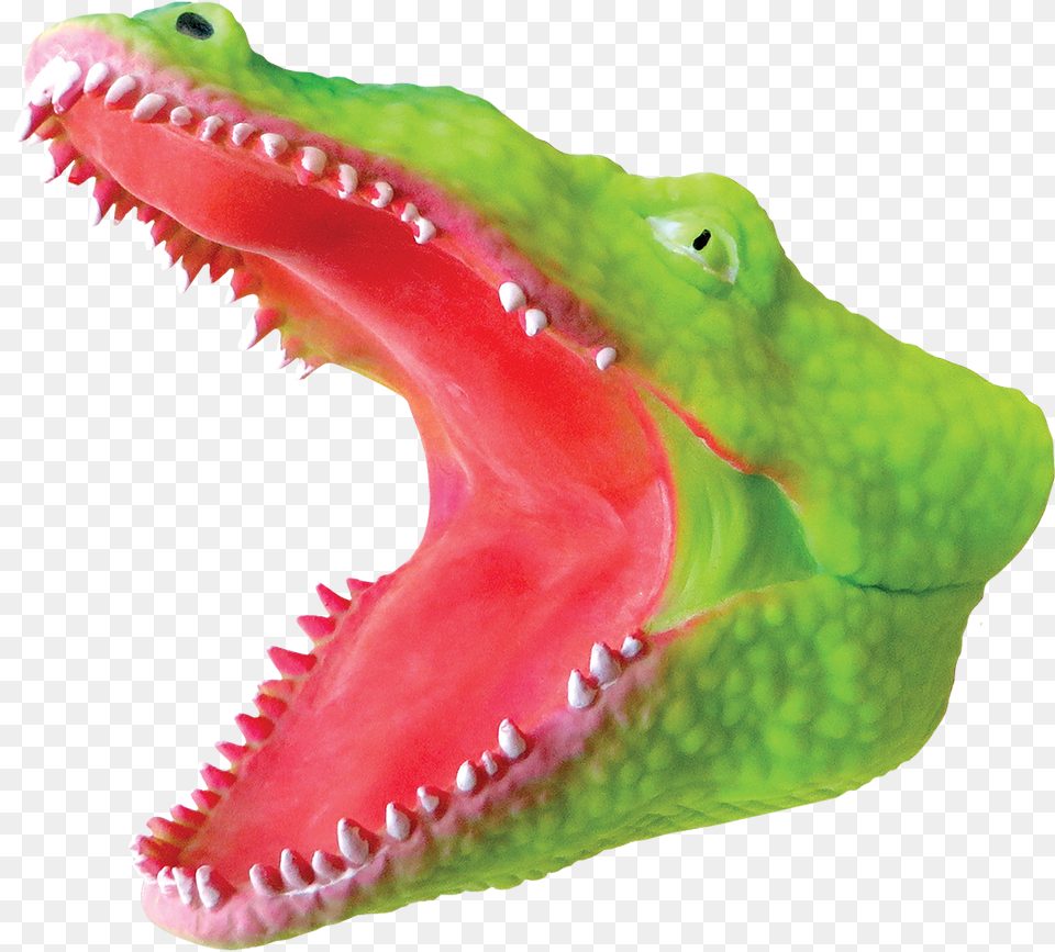 Puppet American Crocodile, Animal, Dinosaur, Reptile Png Image