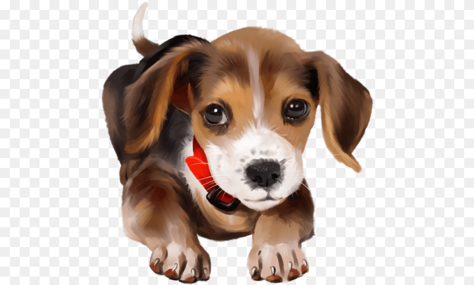 Puppies Adorable Background Transparent, Animal, Canine, Dog, Mammal Free Png
