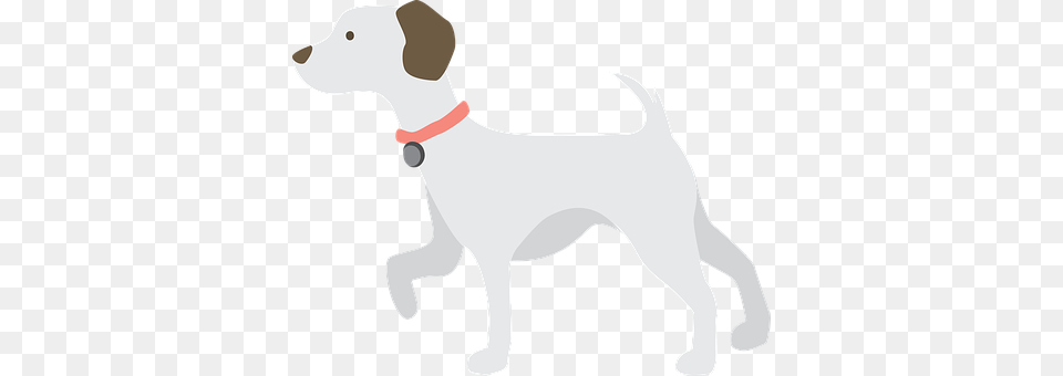 Puppy Accessories, Animal, Canine, Dog Free Png Download