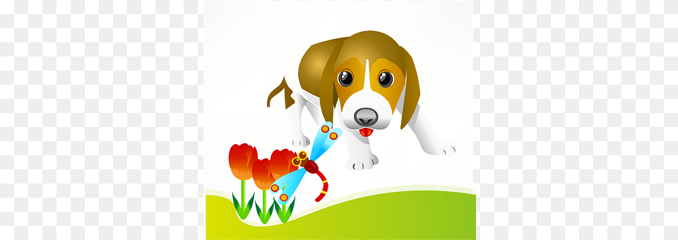 Puppy Animal, Canine, Dog, Hound Free Png Download