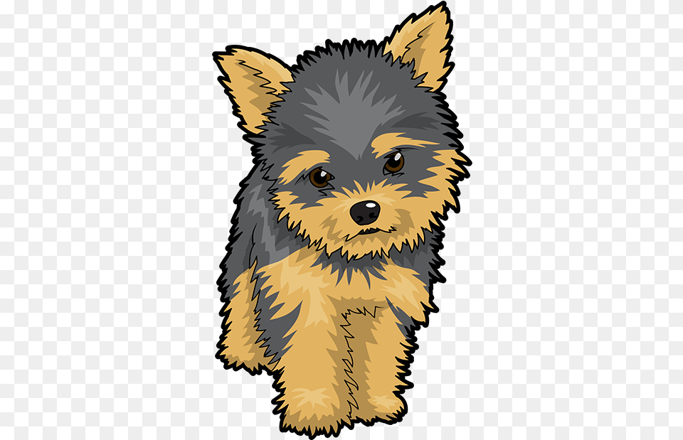 Puppy Clipart Yorkie Yorkshire Terrier Cartoon, Animal, Canine, Dog, Mammal Png Image