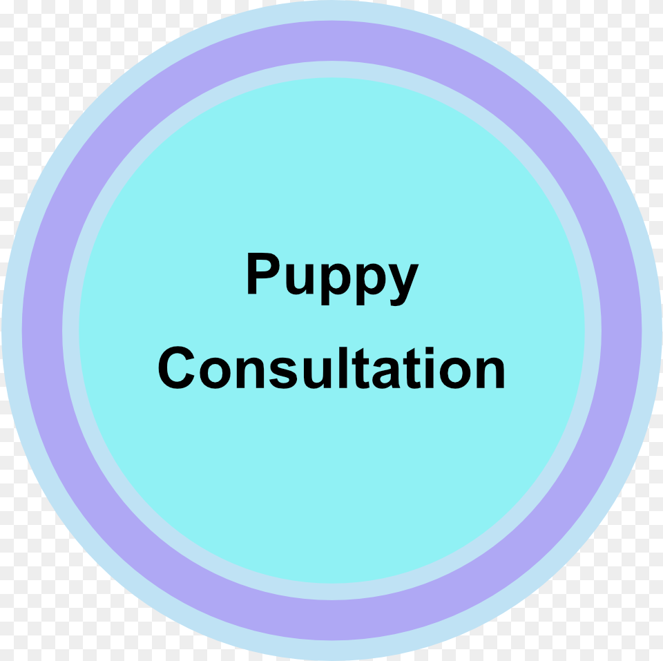 Puppy Consultation Consultation Room, Disk, Text Free Png Download