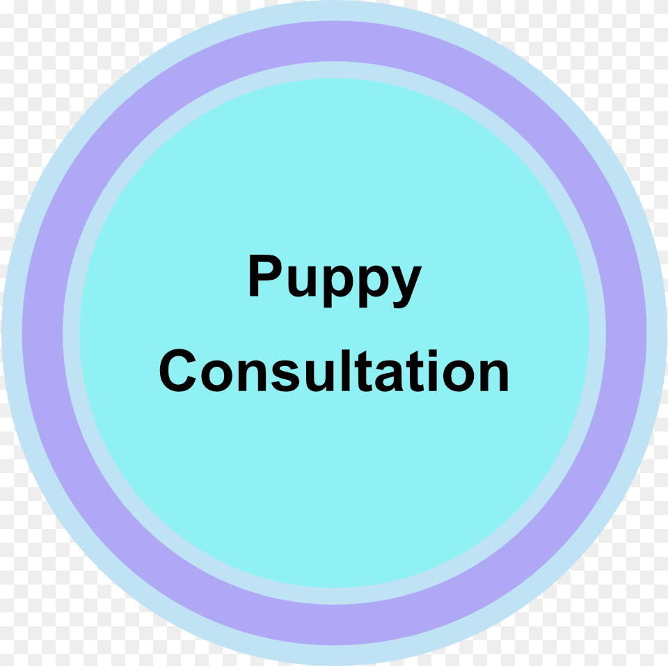 Puppy Consultation Consultation Room, Disk, Text Free Png