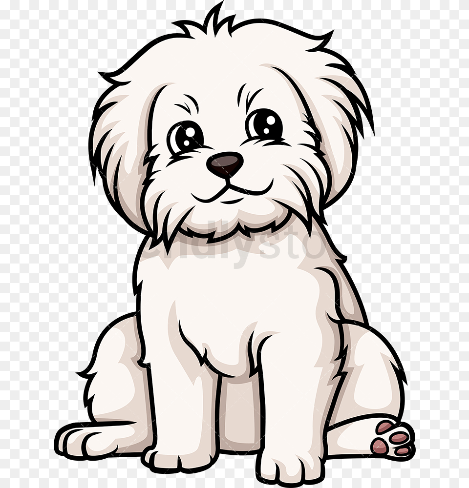 Puppy Cute Maltese Transparent Puppy Dog Clipart, Animal, Pet, Mammal, Canine Png