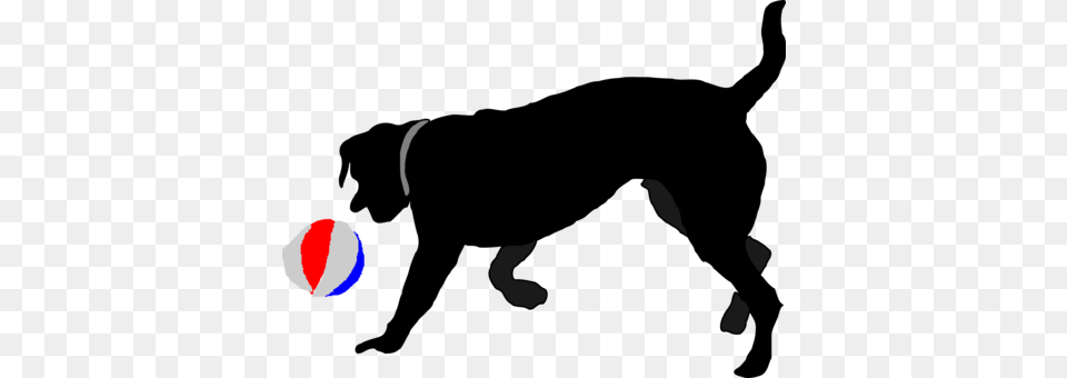 Puppy Dachshund Leash Coloring Book Dog Training, Ball, Sport, Tennis, Tennis Ball Png