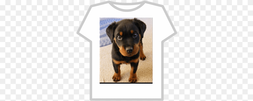 Puppy Dog Pals Roblox Buzz Lightyear Hoodie T Shirt Roblox, Animal, Canine, Clothing, Mammal Free Png Download