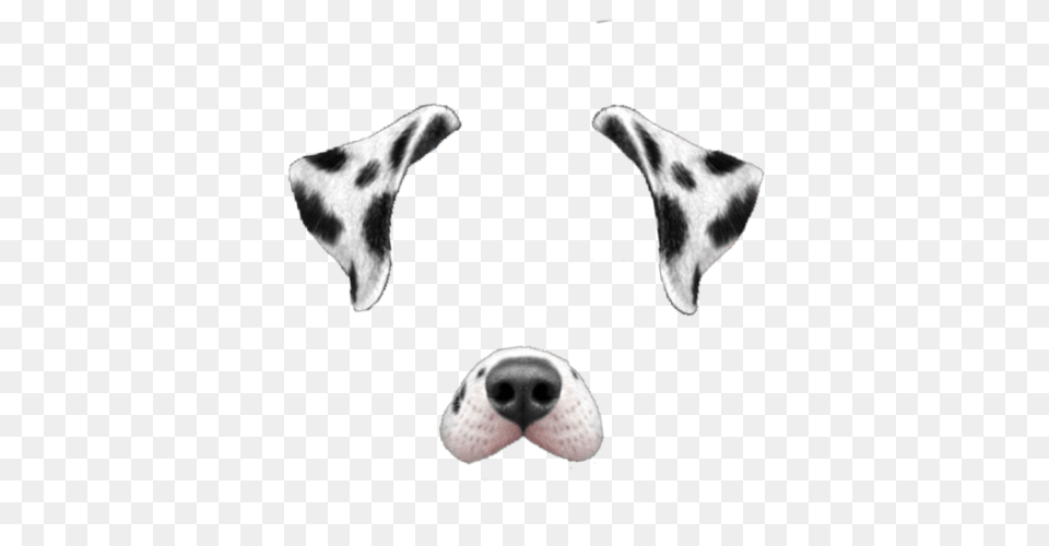 Puppy Filter, Snout, Animal, Canine, Dog Png Image