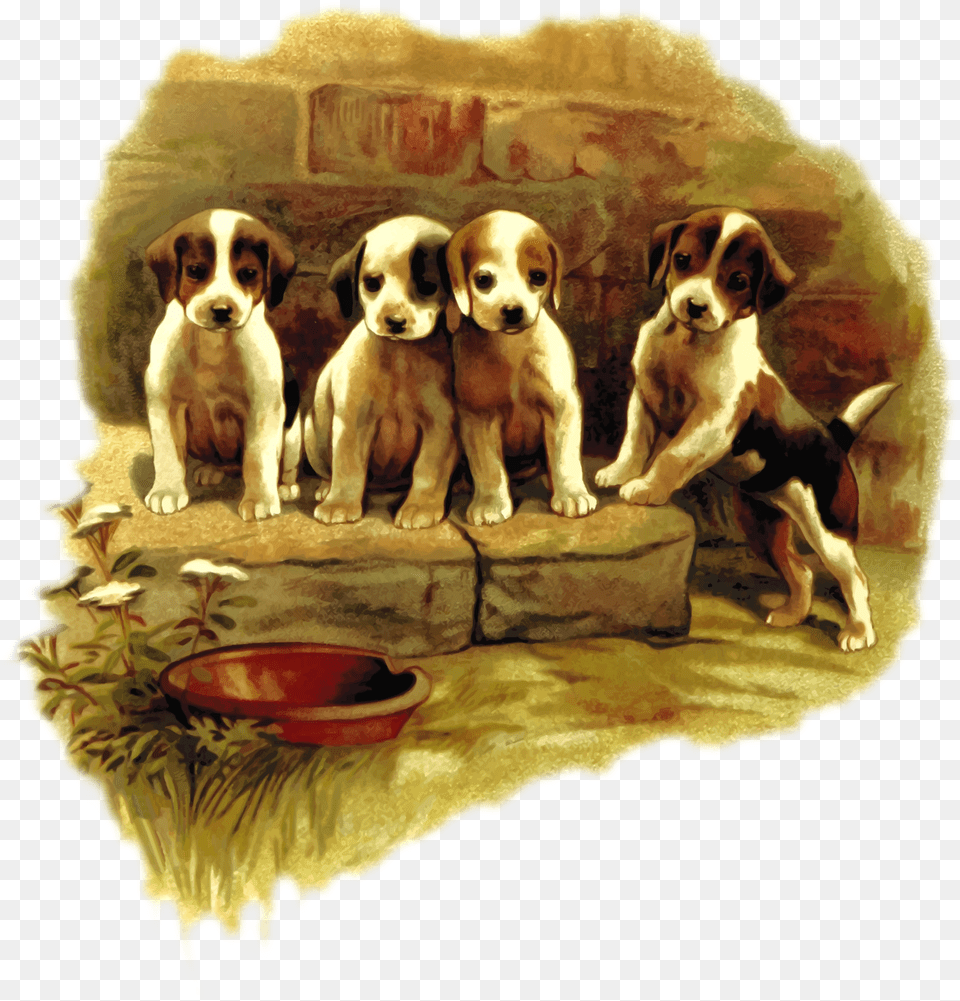 Puppy Lovecarnivorandog Puppy, Animal, Canine, Dog, Mammal Free Transparent Png