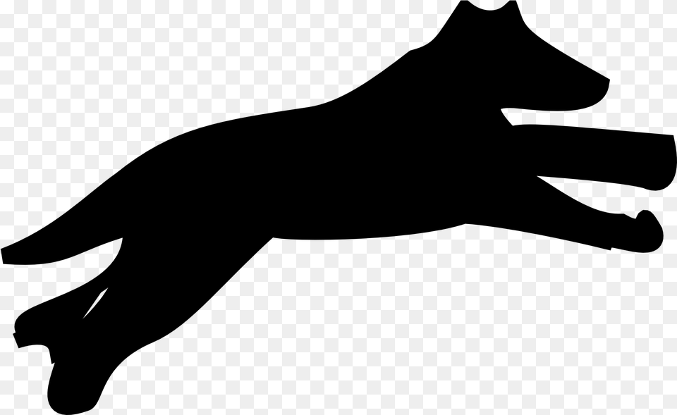 Puppy Maltese Dog Dachshund Bulldog Cat, Gray Free Transparent Png
