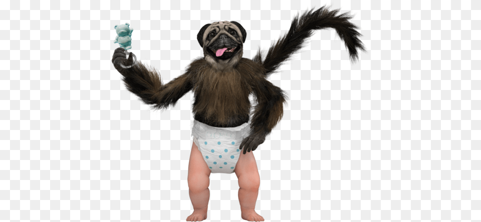 Puppy Monkey Baby Puppy Monkey Baby, Diaper, Person Free Png