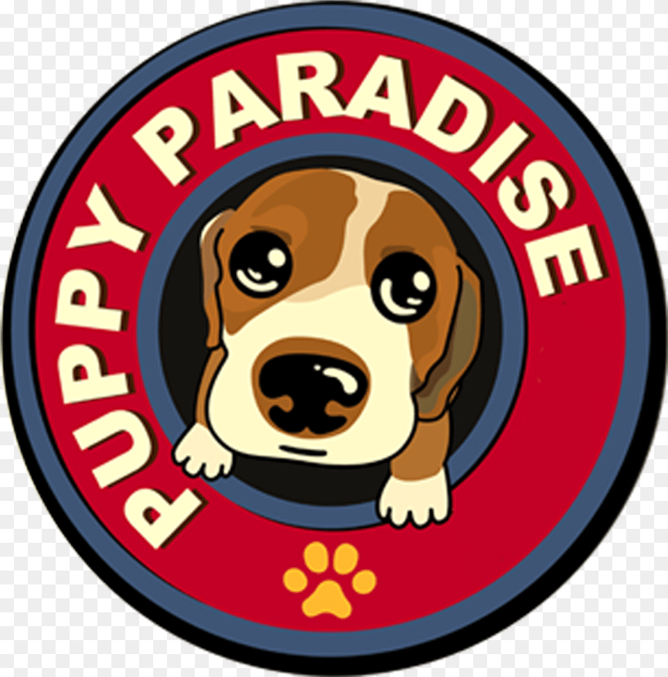Puppy Paradise, Animal, Canine, Dog, Hound Free Transparent Png