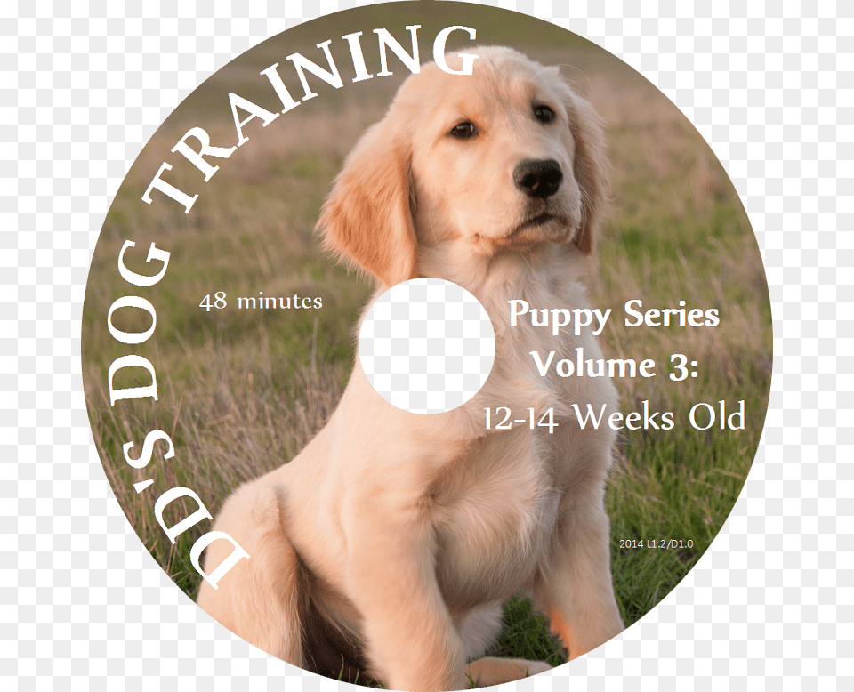 Puppy Series Volume Dog, Animal, Canine, Mammal, Pet Free Png