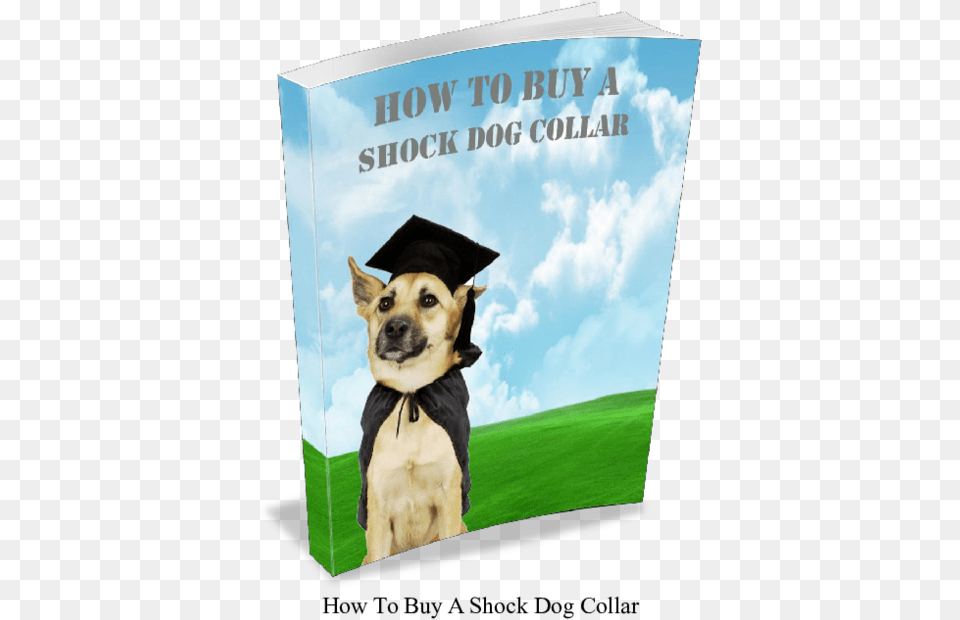 Puppy Training, Publication, Book, Person, People Free Png Download