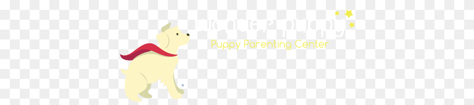 Puppy Training Wonder Puppy Portland, Animal, Bear, Mammal, Wildlife Free Transparent Png